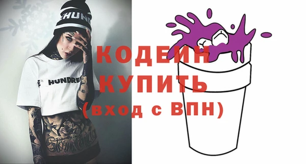 мдпв Весьегонск