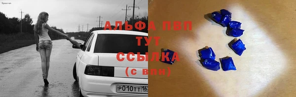 стафф Осташков
